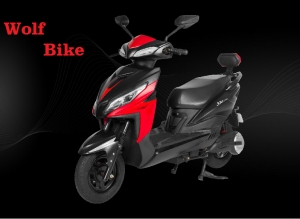 Buy The Best Electric Scooter In India - Wolf Bike